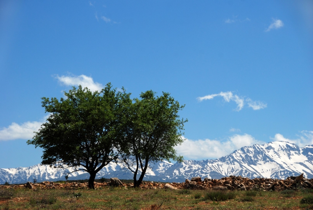 1.Ulusal Afşin Fotokampı düzenlenecek! 9