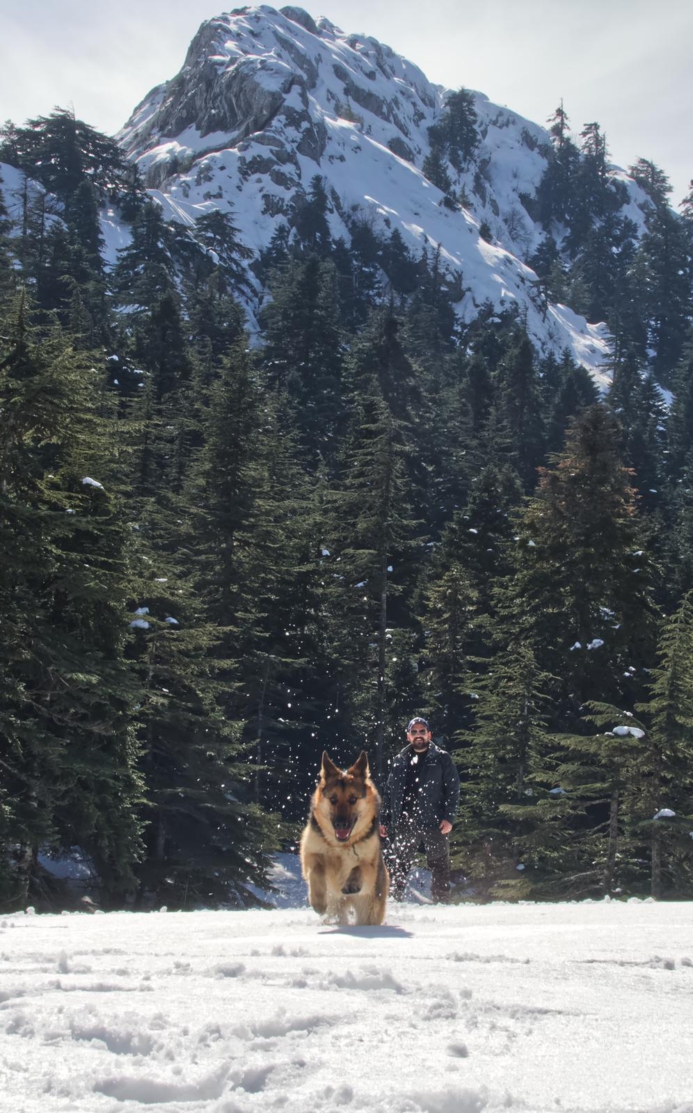Başkonuş Yaylası yeni yatırım ile dünyaya açılıyor 21