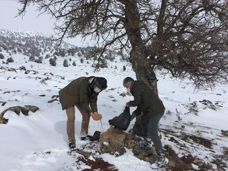 Kahramanmaraş’ta doğa savaşçılarının dikkatinden kaçmadı 4
