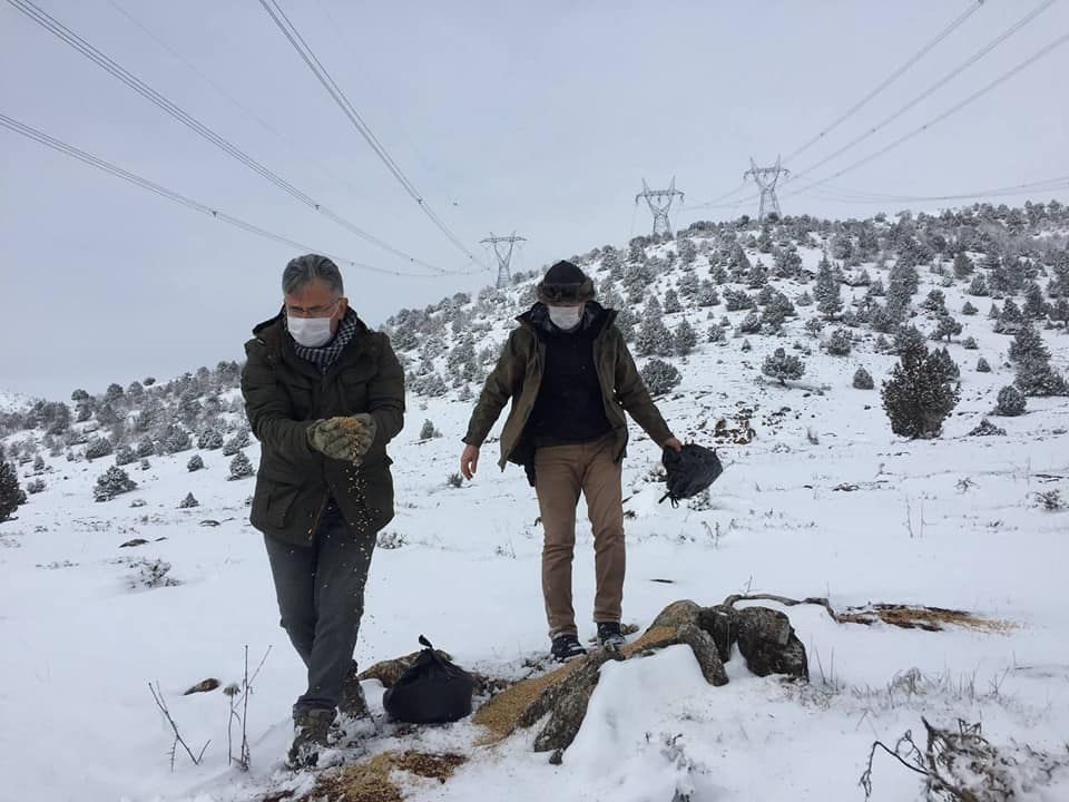 Kahramanmaraş’ta doğa savaşçılarının dikkatinden kaçmadı 6