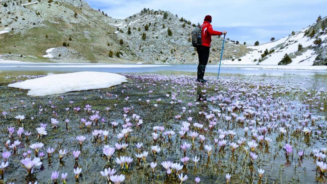 Görsel Şölen: Kahramanmaraş'ın Nilüferleri Bağlama Gölü'nde Dans Ediyor 17