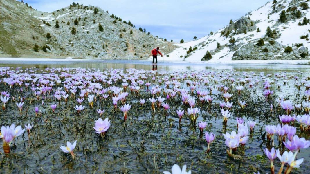 Görsel Şölen: Kahramanmaraş'ın Nilüferleri Bağlama Gölü'nde Dans Ediyor 18