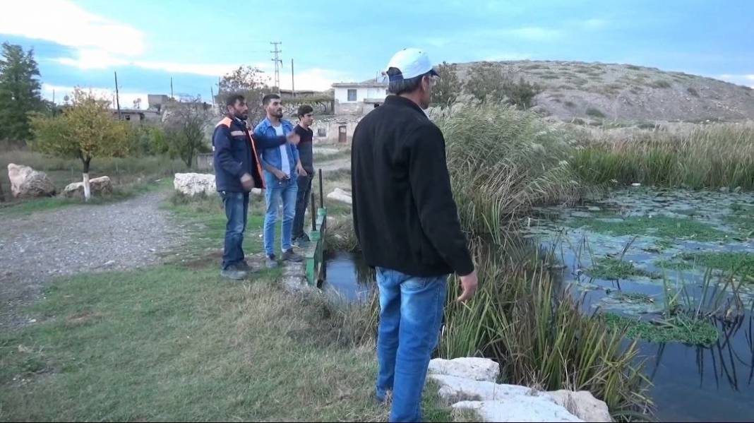 Görsel Şölen: Kahramanmaraş'ın Nilüferleri Bağlama Gölü'nde Dans Ediyor 6
