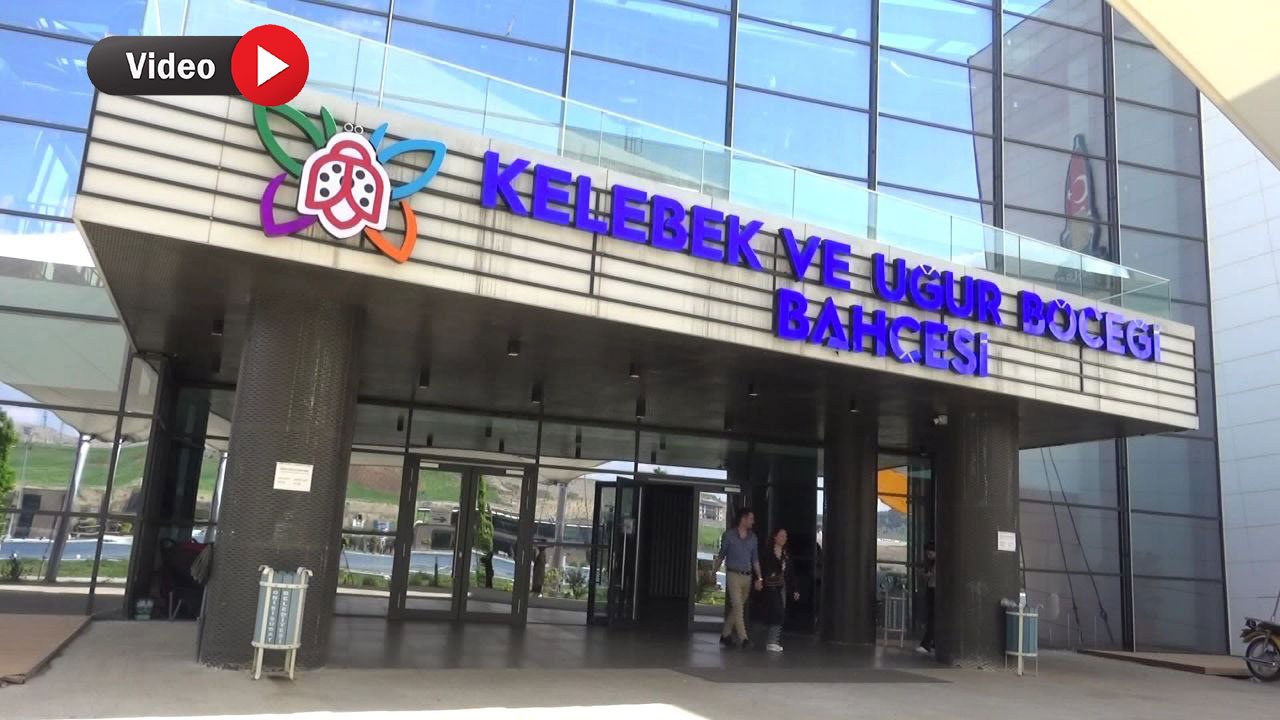 Kahramanmaraş'ın renkli dünyası: Kelebek ve Uğur Böceği Bahçesi!