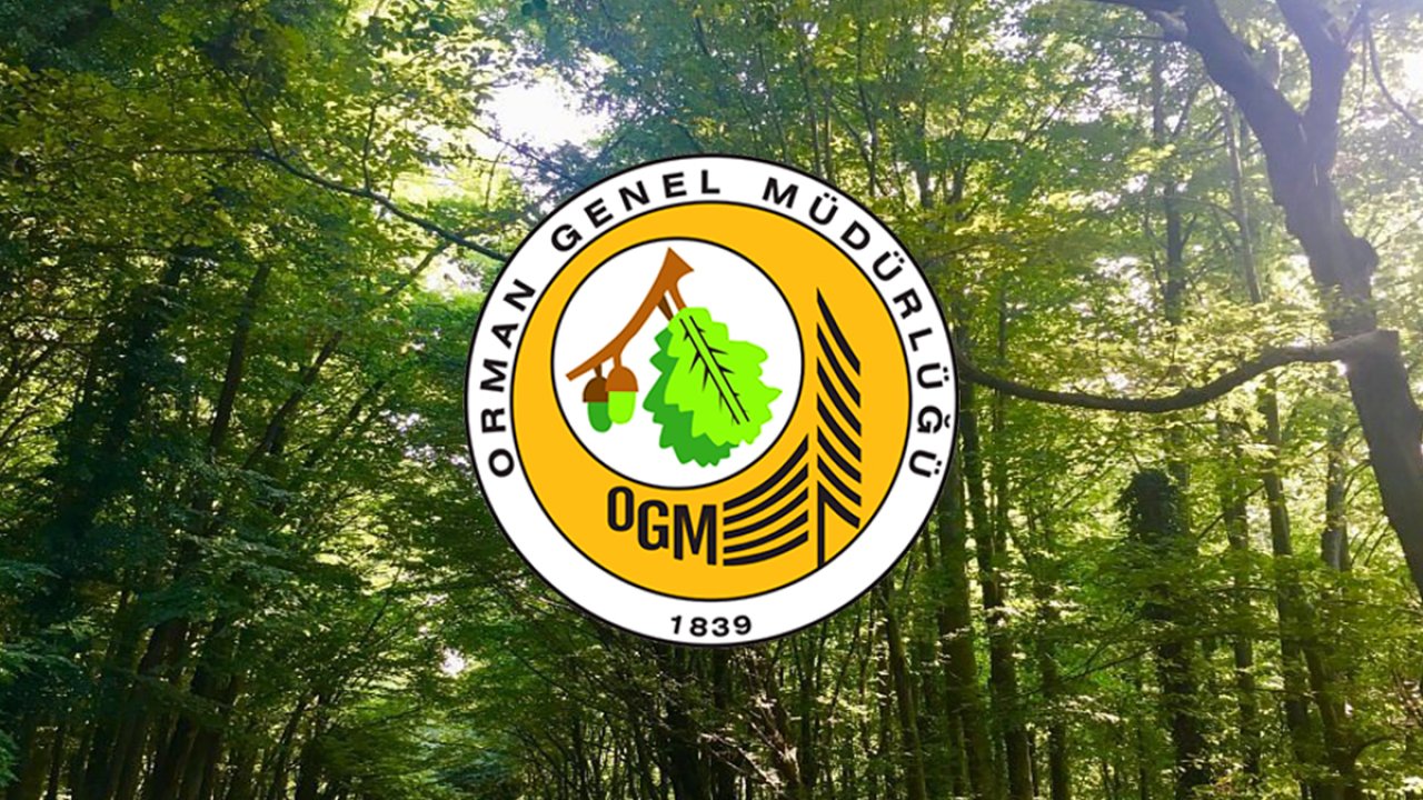 OGM'den Kahramanmaraş'a özel iş fırsatı: 46 memur alımı!
