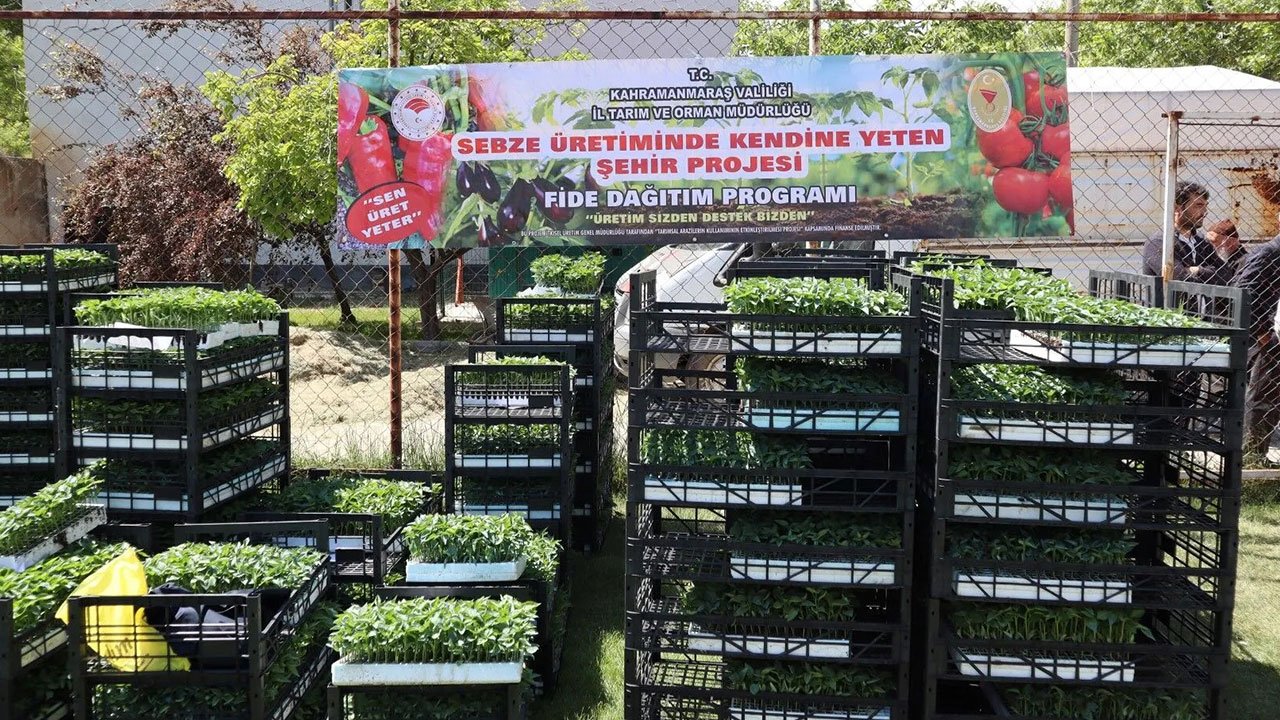 Kahramanmaraş Afşin'de 400 çiftçiye 500 bin sebze fidesi dağıtıldı