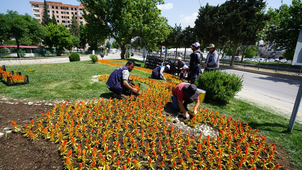 Kahramanmaraş çiçek açıyor: Kent estetiği için renkli dokunuşlar
