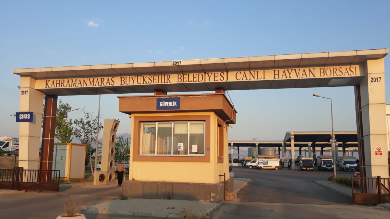 Kahramanmaraş Canlı Hayvan Borsası'nda padok kiralama 27 Mayıs'ta başlıyor