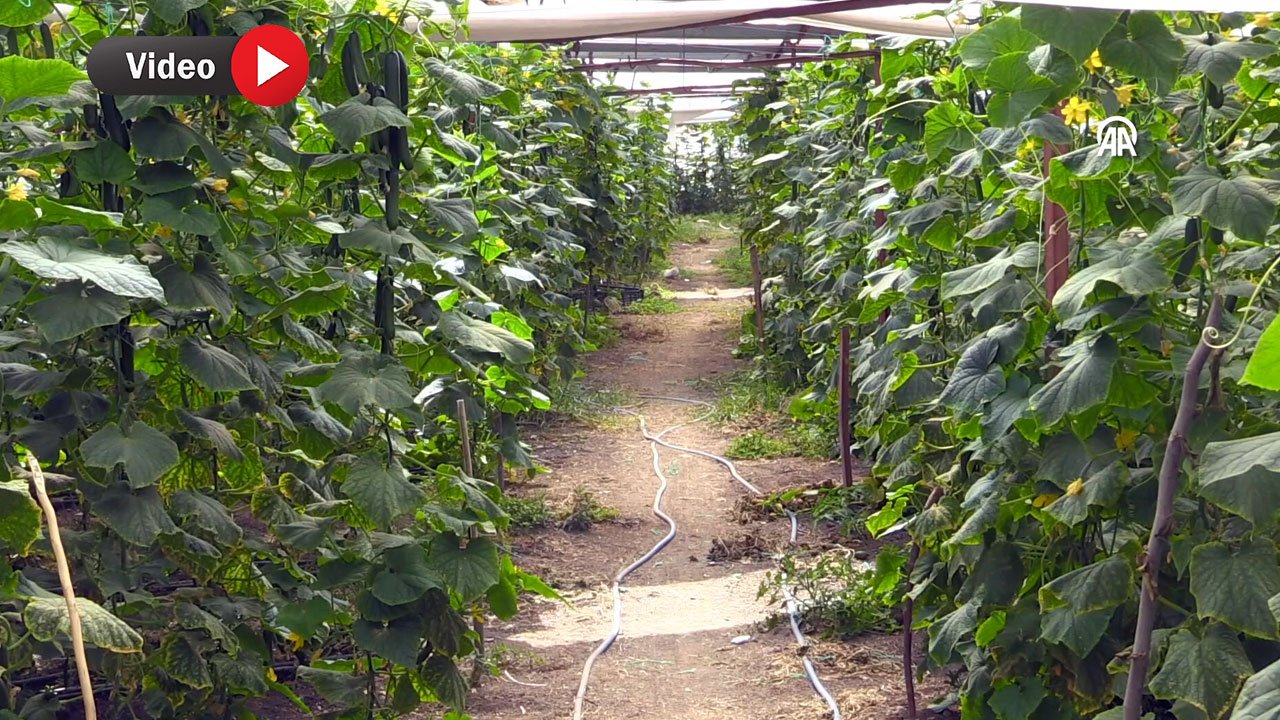 Kahramanmaraş’tan 30 il ve Avrupa’ya: 2 bin kişi buradan ekmek yiyor