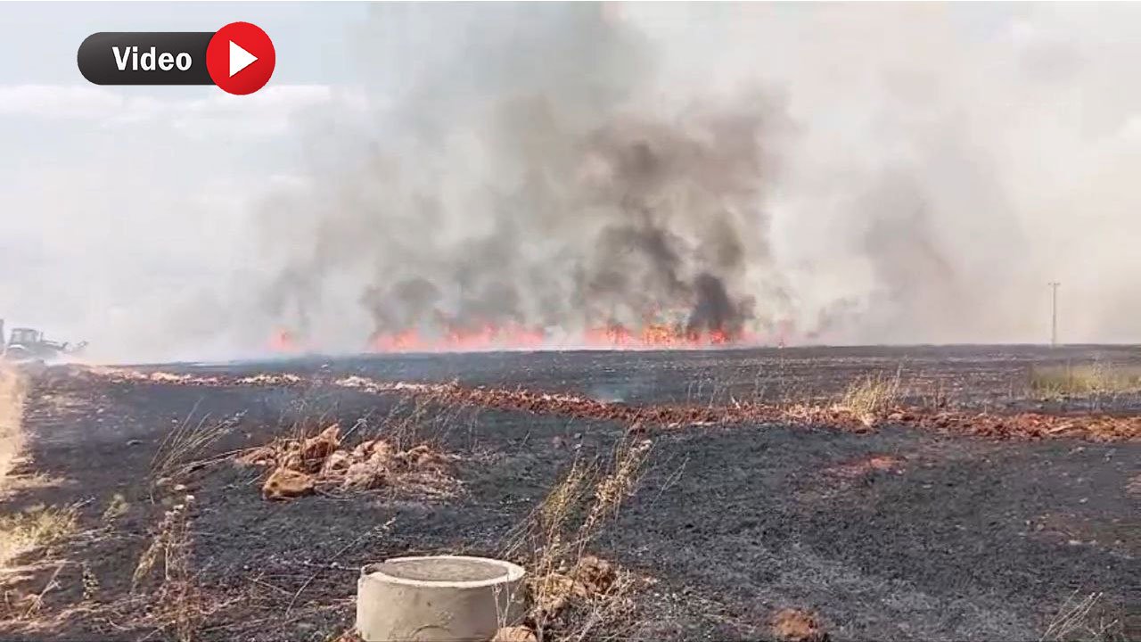 Kahramanmaraş Pazarcık'ta yangın 1000 dönüm araziyi kül etti!