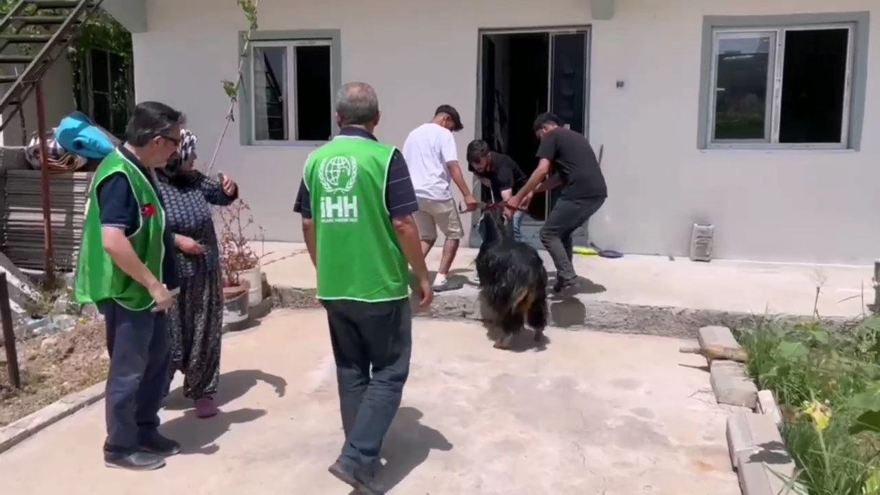 İHH Kahramanmaraş 14 yetim ailesine kurban bağışında bulundu
