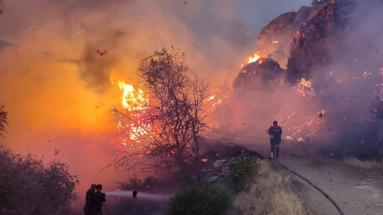 Kahramanmaraş'ın Elbistan ilçesinde kırsal alanda çıkan yangın kontrol altında