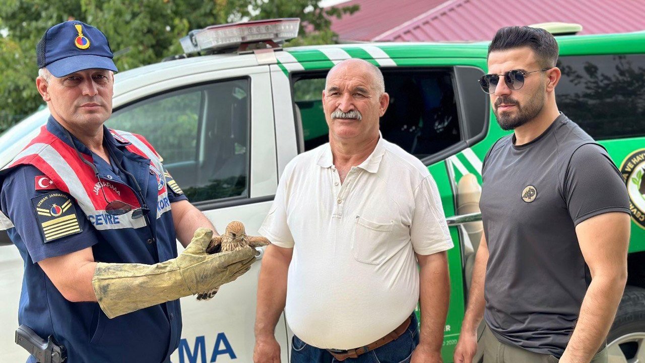 Kahramanmaraş’ta yaralı Kerkenez Kuşuna jandarma şefkati