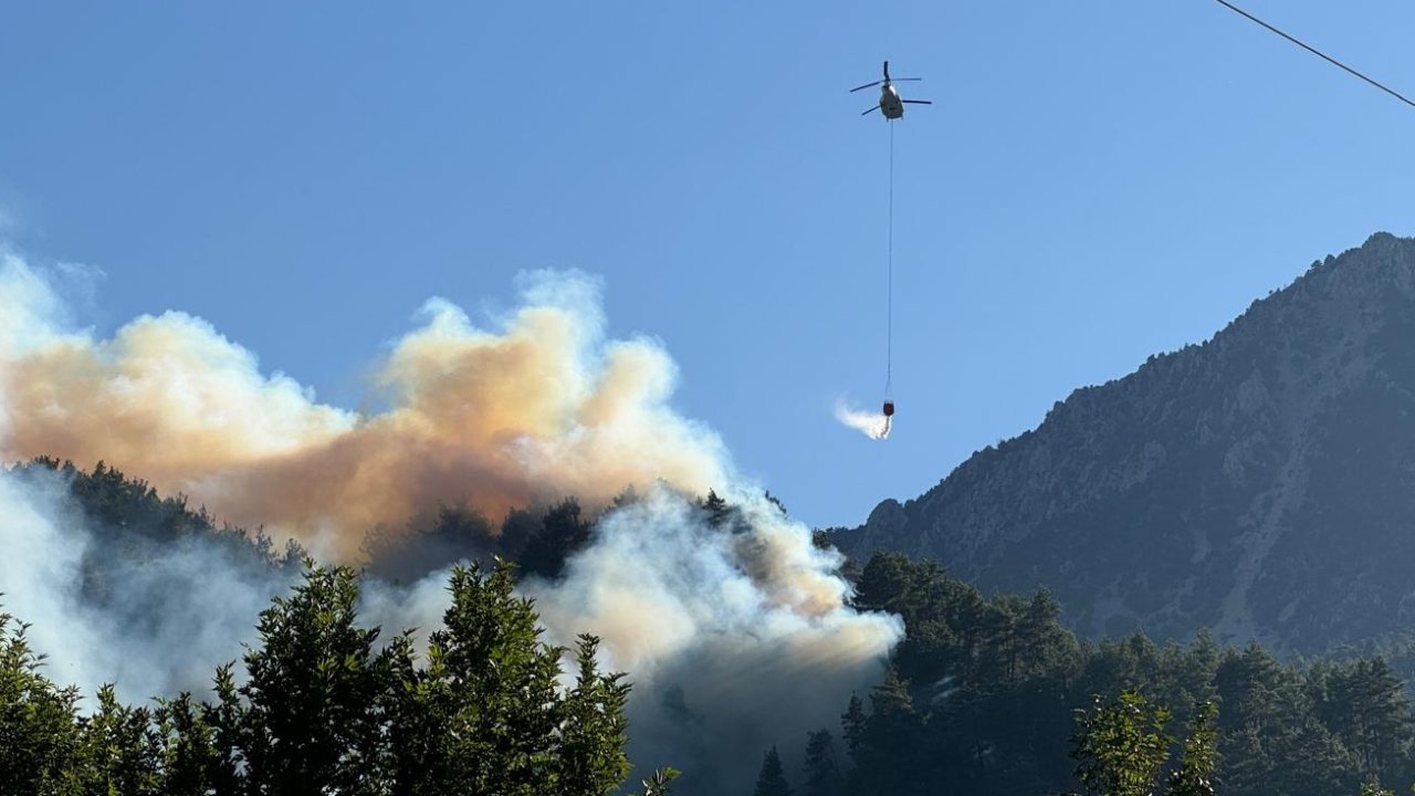 Kahramanmaraş'taki orman yangınına şaka amaçlı patlatılan torpil neden olmuş