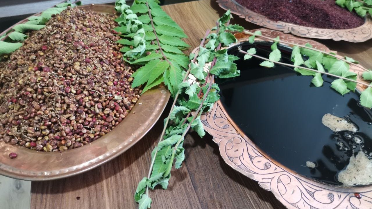 Kahramanmaraş'ta Çiftçilere Sumak Fidesi Üretimi Başladı