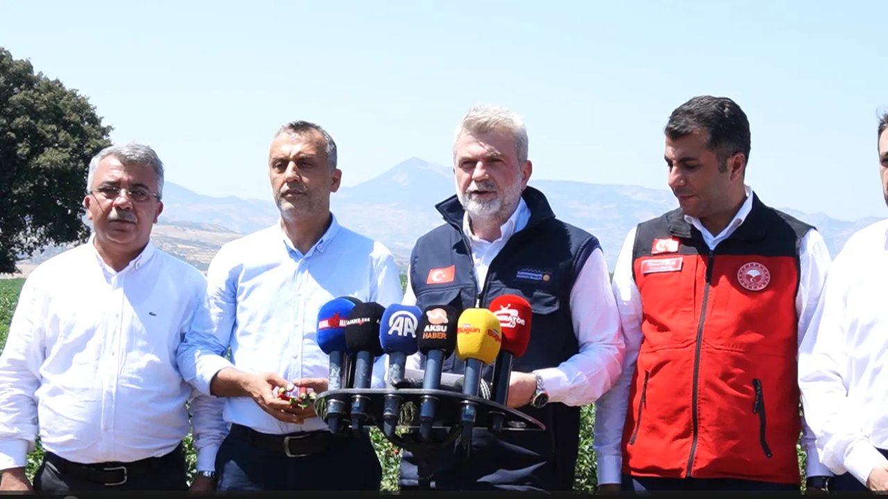 Maraş Biberi Dünya pazarında: 800 bin dolar değerinde ihracat!