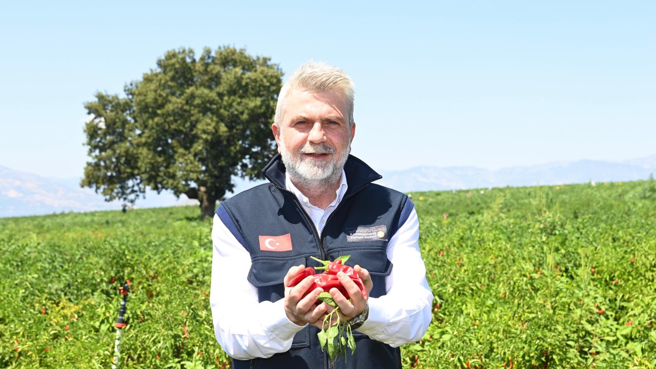 Kahramanmaraş'ta biber üreticilerine %75 hibe desteği