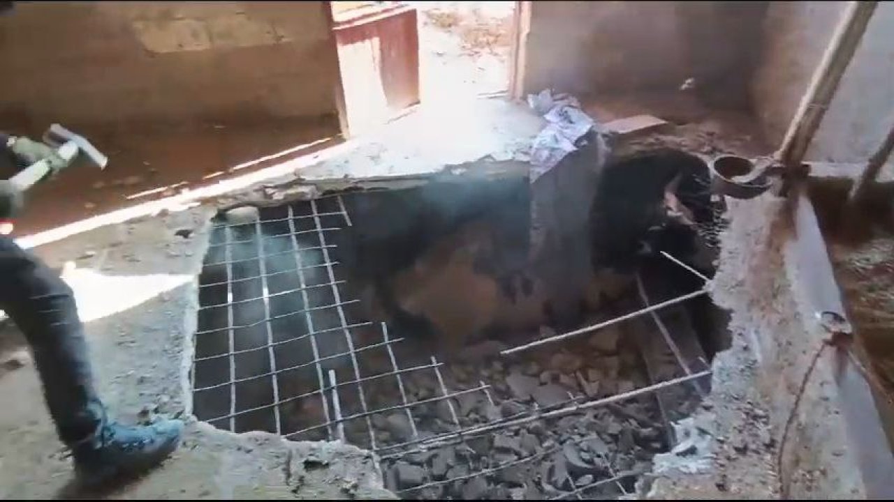 Kahramanmaraş’ta bodruma düşen inek kurtarıldı