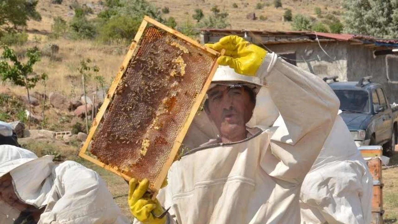 Kahramanmaraş'ta depremlerde arıları telef olan üretici ilk hasadı yaptı