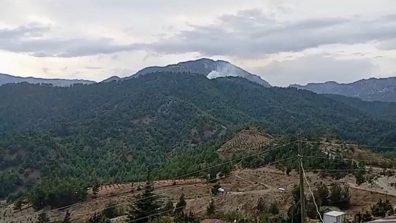 Kahramanmaraş’ta orman yangını