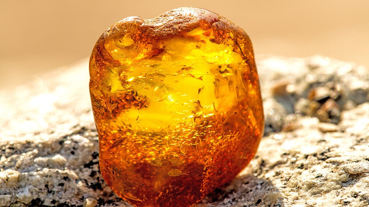 Rüyada Amber görmek ne anlama gelir?
