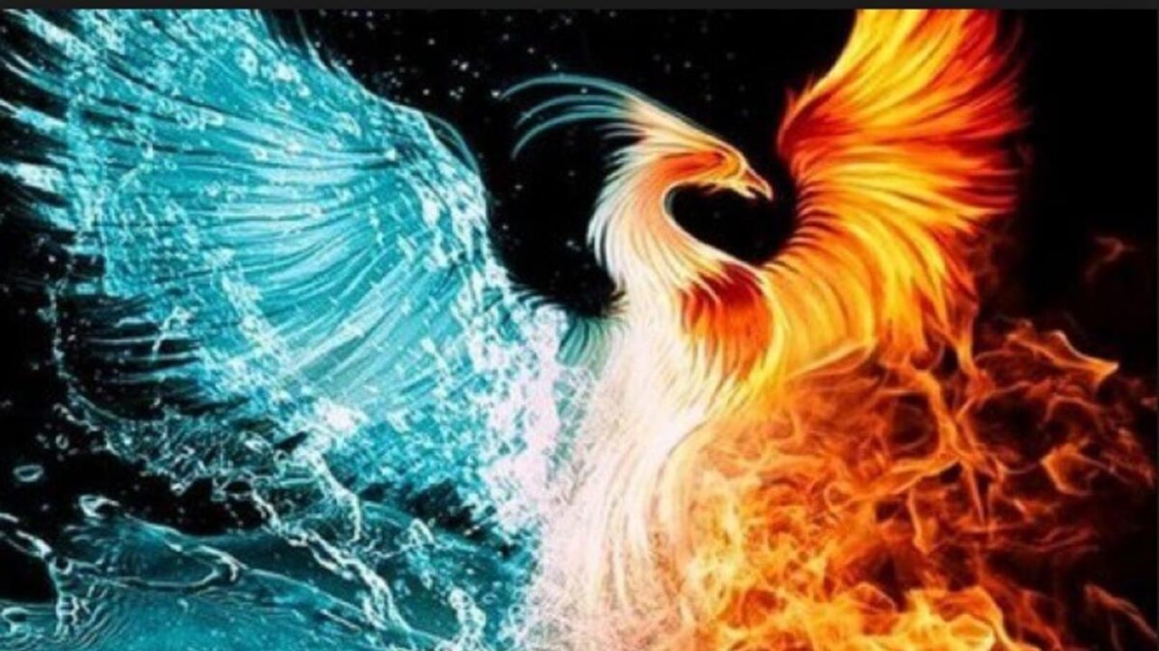 Rüyada Ankakuşu görmek ne anlama gelir?