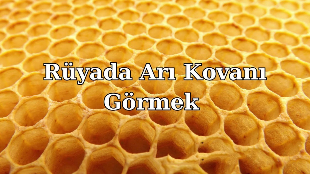 Rüyada Arı Kovanı görmek ne anlama gelir?
