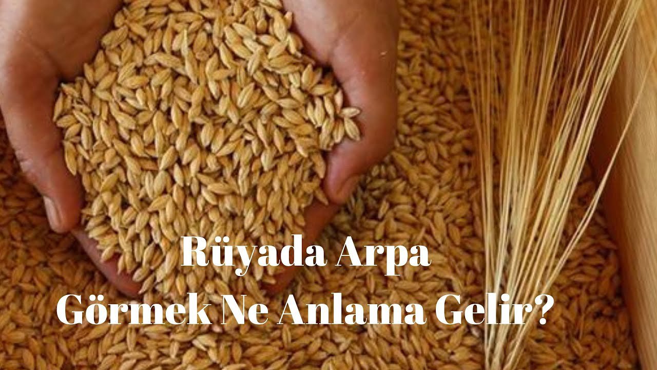 Rüyada Arpa görmek ne anlama gelir?