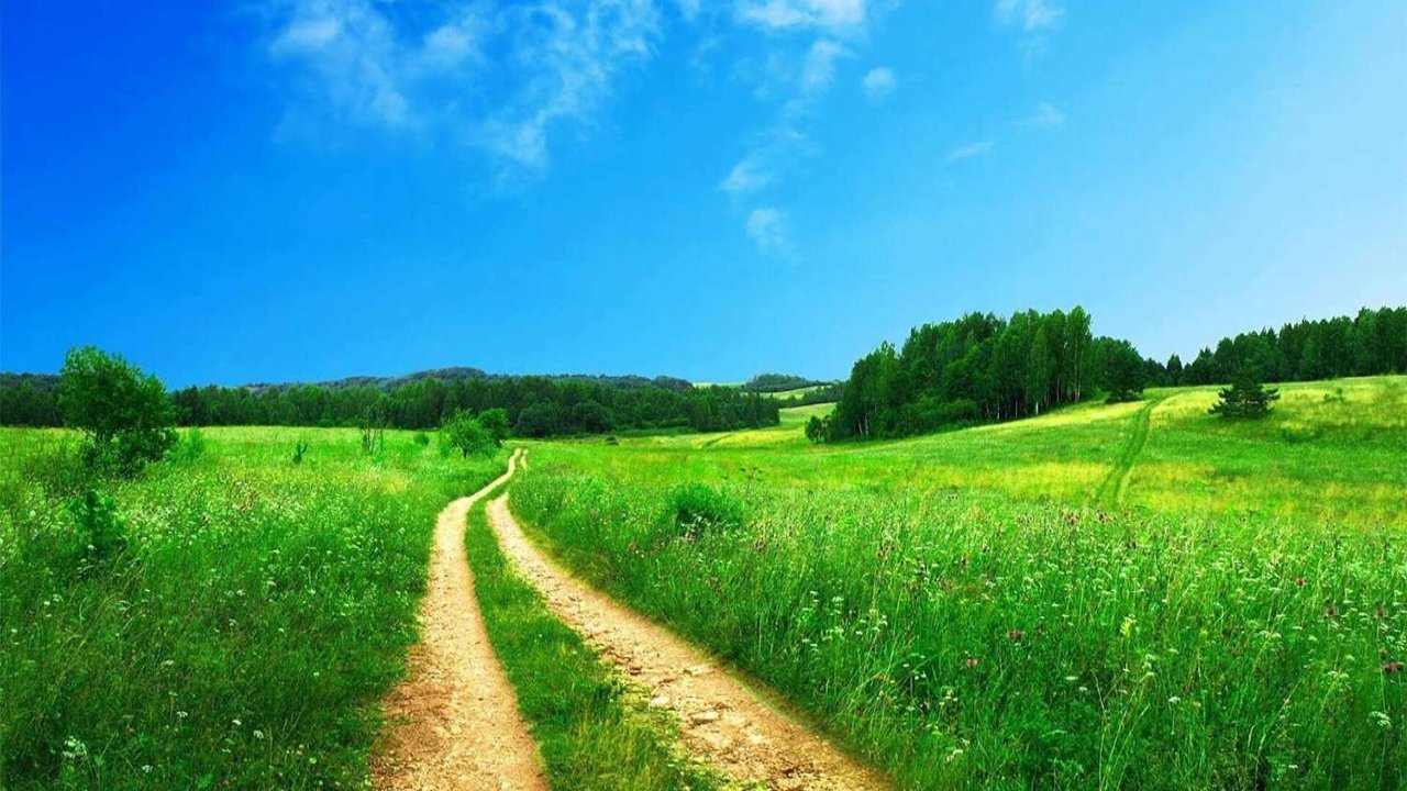 Rüyada Arsa görmek ne anlama gelir?