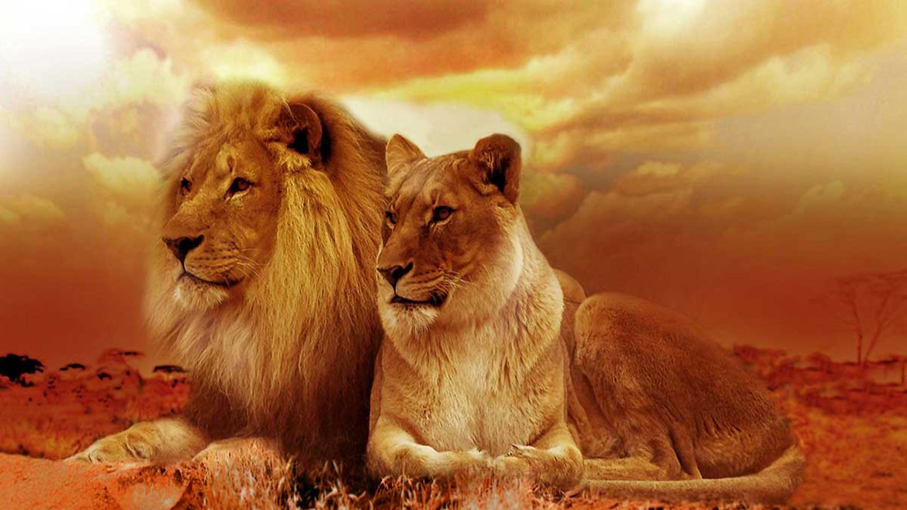 Rüyada Arslan görmek ne anlama gelir?