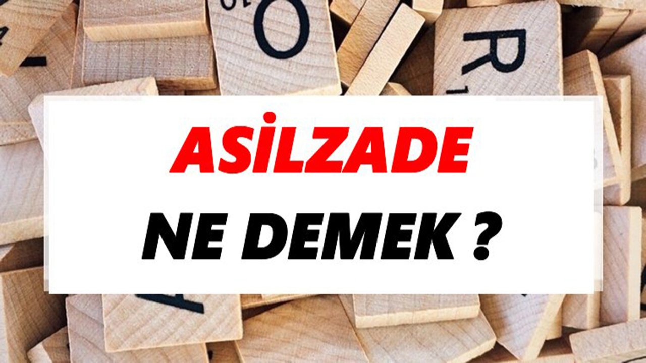 Rüyada Asilzade görmek ne anlama gelir?