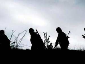 11 PKK'LI ÖLDÜRÜLDÜ!