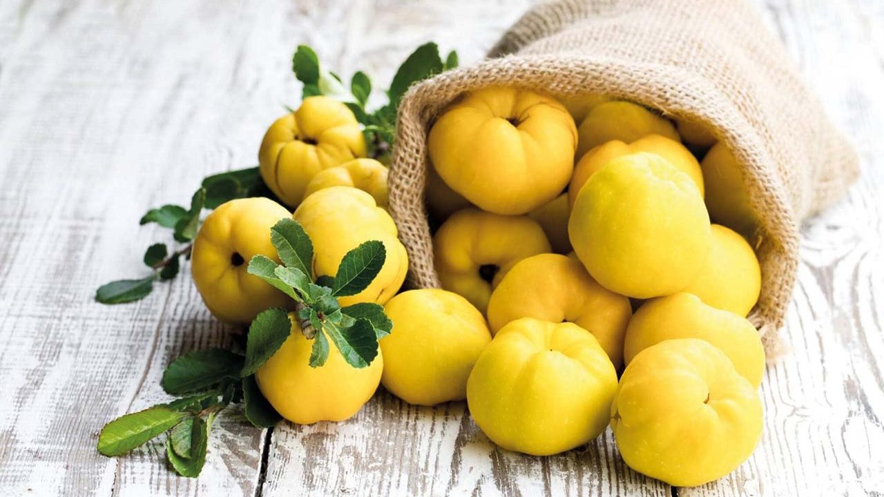 Rüyada Ayva görmek ne anlama gelir?