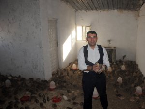 Gazeteci Akkuş, Nesli tükenen kanatlıları üretecek