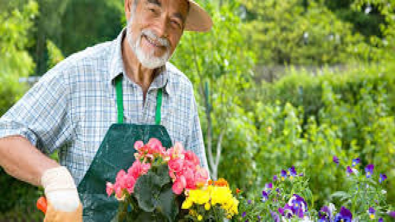 Rüyada Bahçıvan görmek ne anlama gelir?