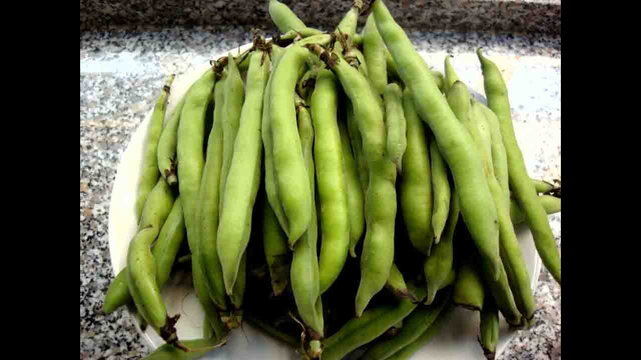 Rüyada Bakla görmek ne anlama gelir?