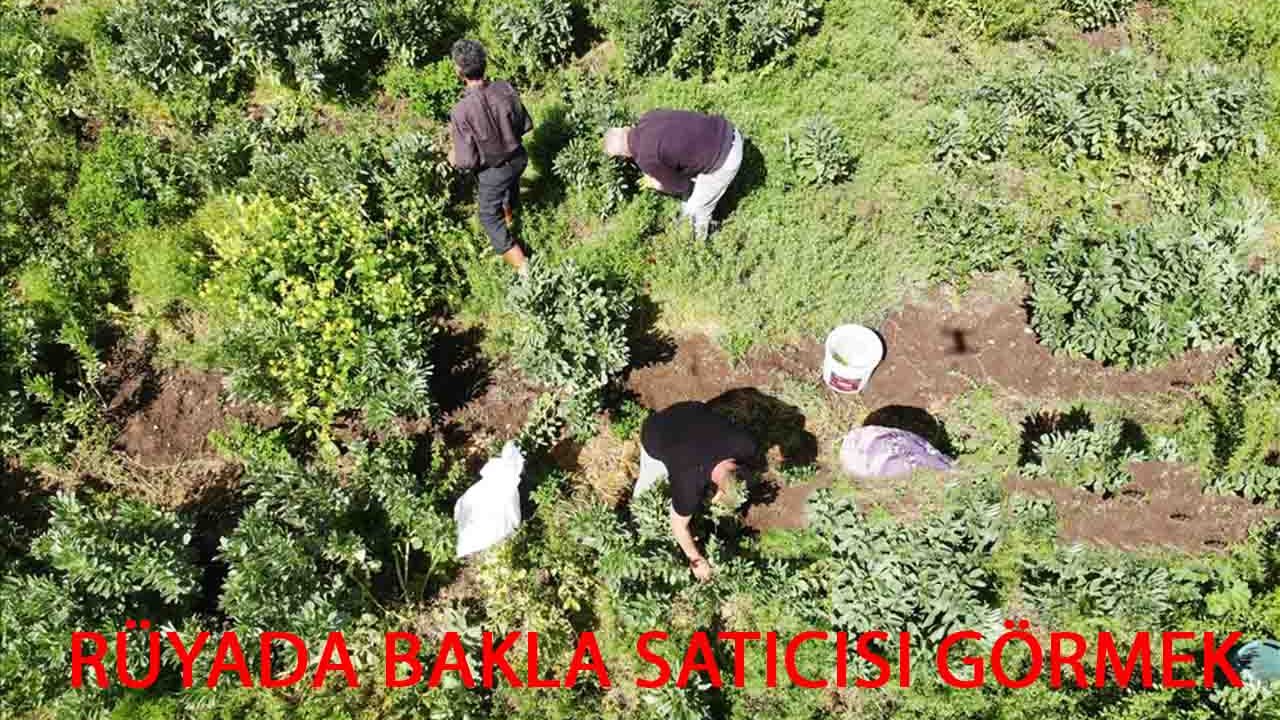 Rüyada Bakla Satıcısı görmek ne anlama gelir?