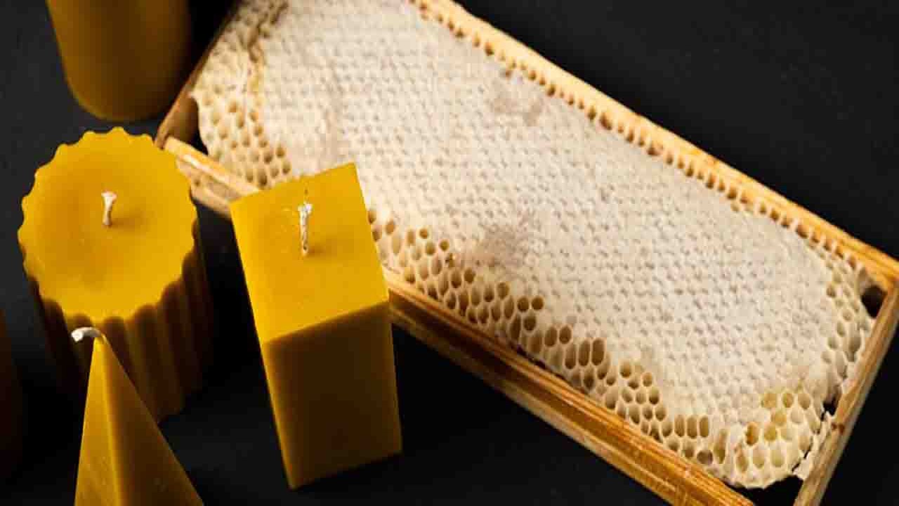 Rüyada Bal mumu görmek ne anlama gelir?