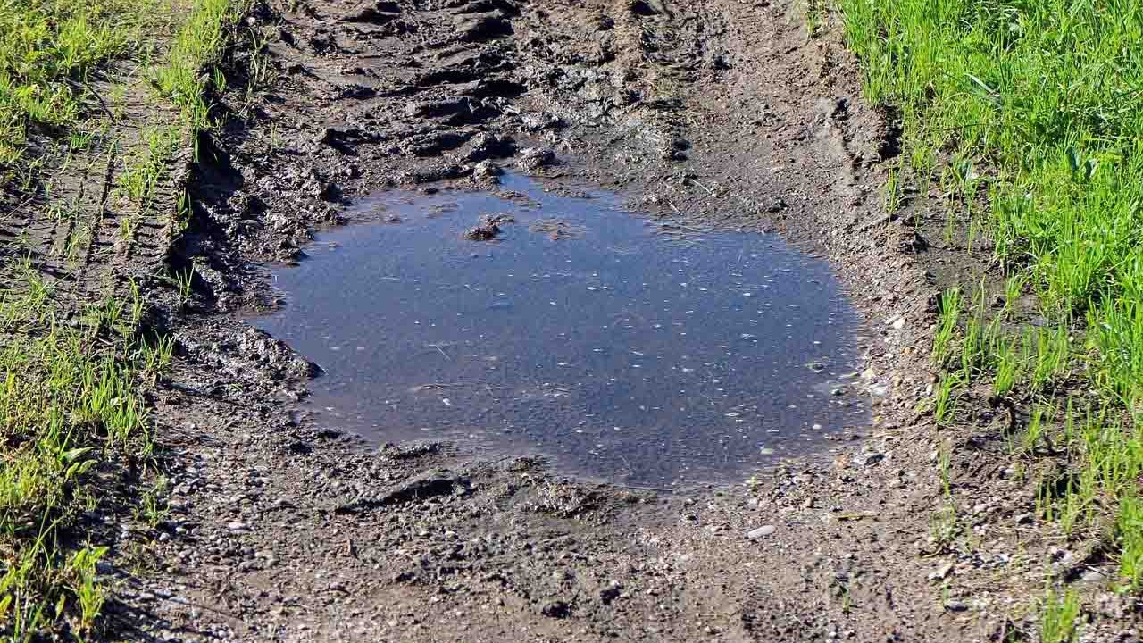 Rüyada Balçık görmek ne anlama gelir?