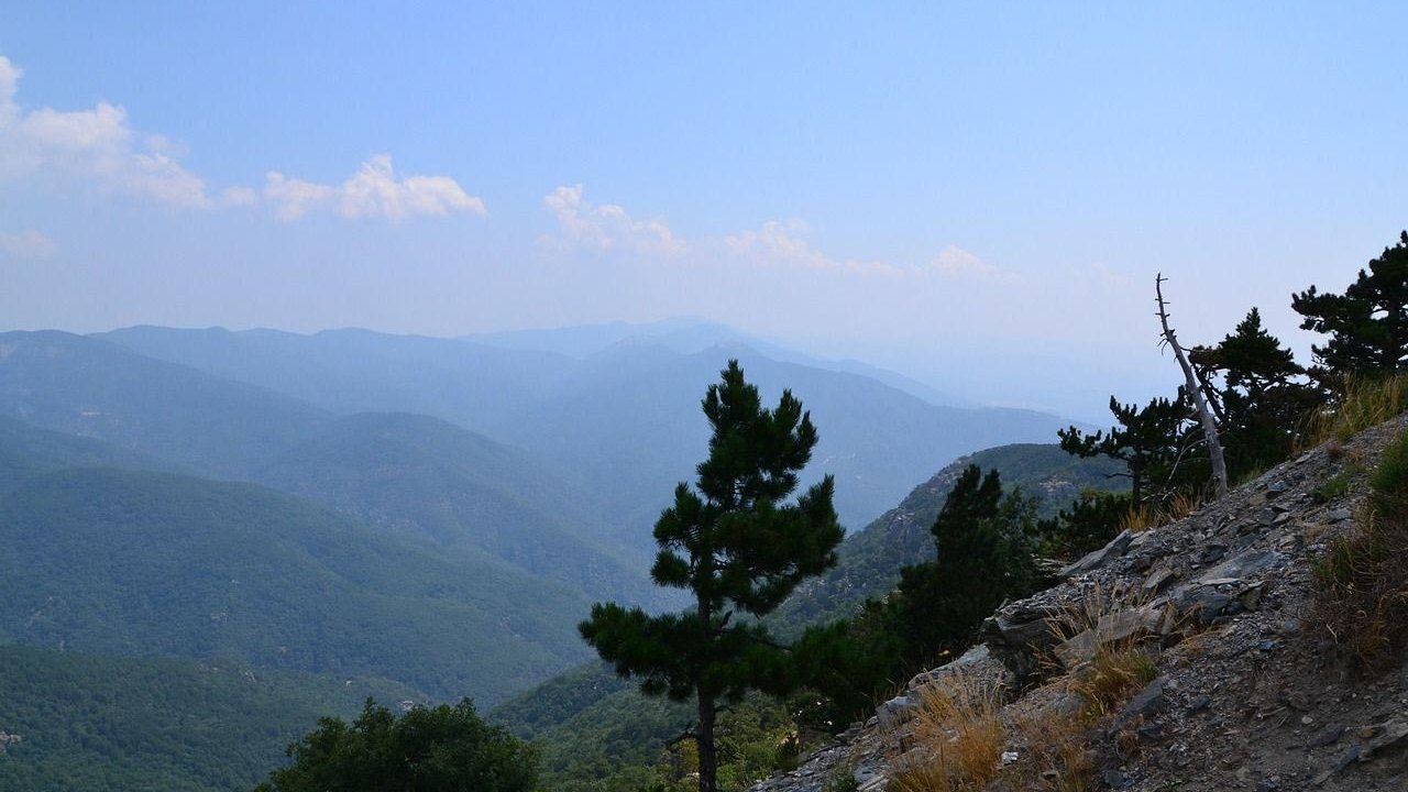 Rüyada Bayır görmek ne anlama gelir?