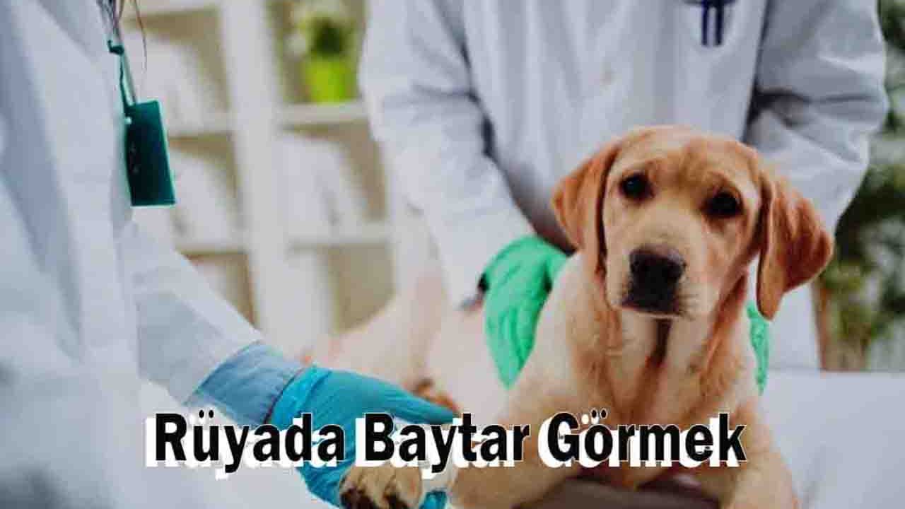 Rüyada Baytar görmek ne anlama gelir?