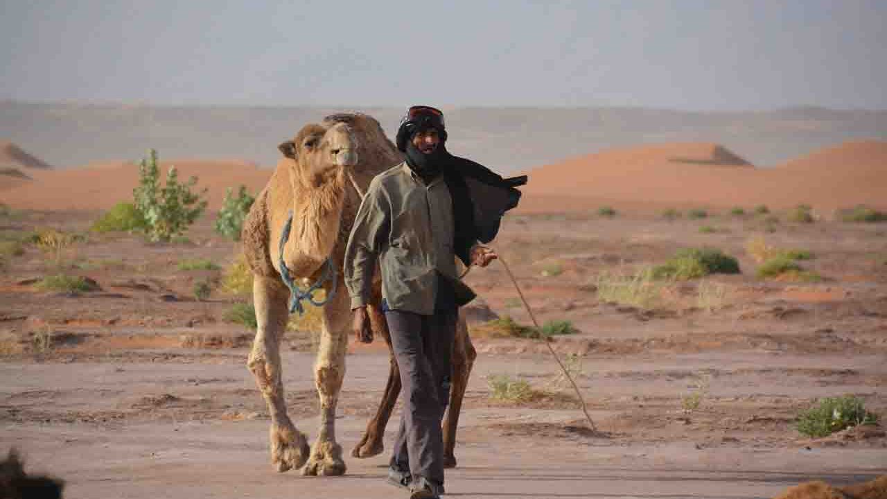 Rüyada Bedevi görmek ne anlama gelir?