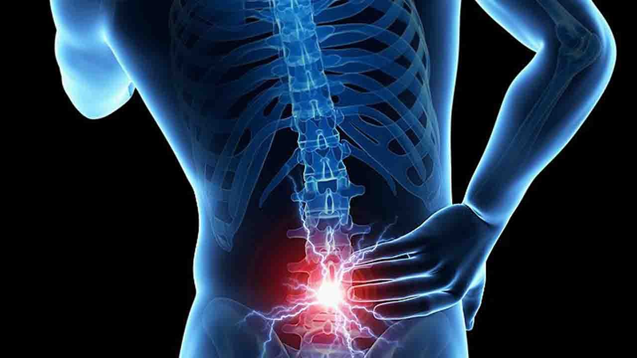 Rüyada Bel kemiği görmek ne anlama gelir?