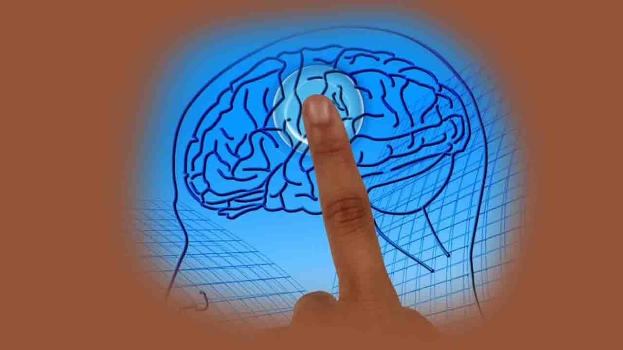 Rüyada Beyin görmek ne anlama gelir?
