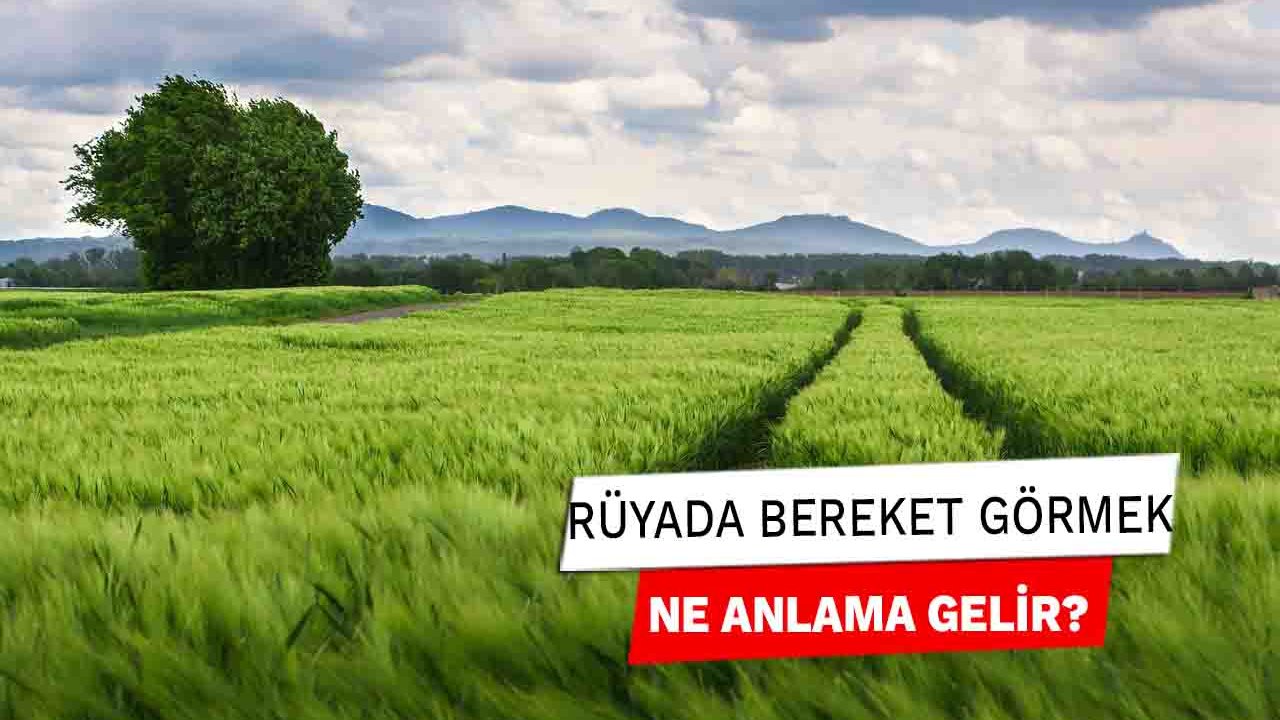 Rüyada Bereket görmek ne anlama gelir?