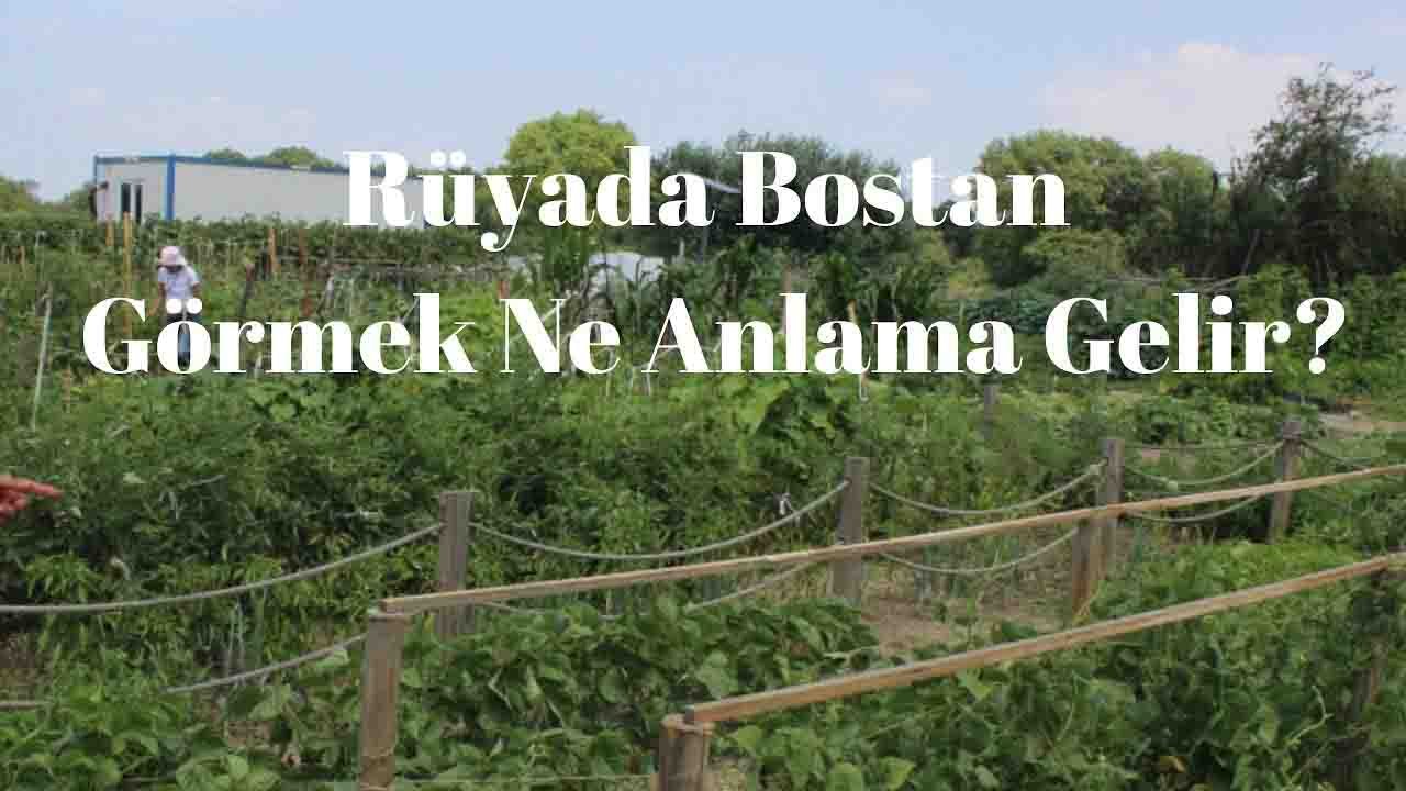 Rüyada Bostan görmek ne anlama gelir?