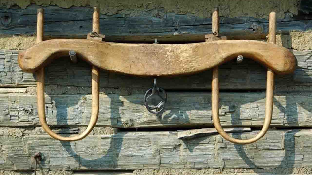 Rüyada Boyunduruk görmek ne anlama gelir?