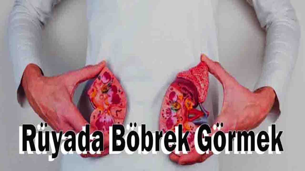 Rüyada Böbrek görmek ne anlama gelir?