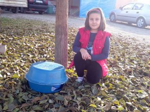 Sokak kedilerine öyle bir şey yaptı ki...