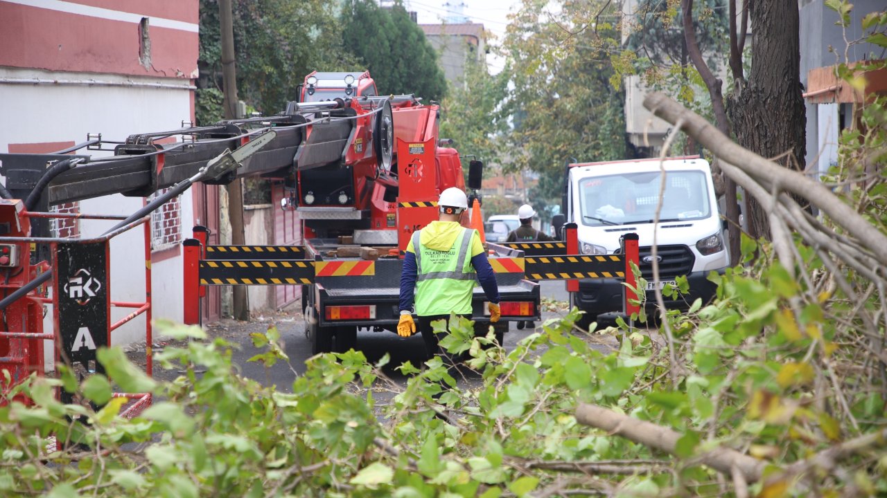 Dulkadiroğlu Belediyesi’nden yeşil alanlara tam destek